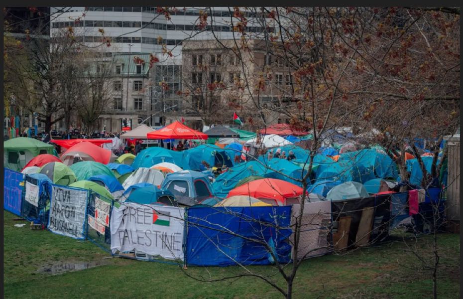 camp étudiant mcGill